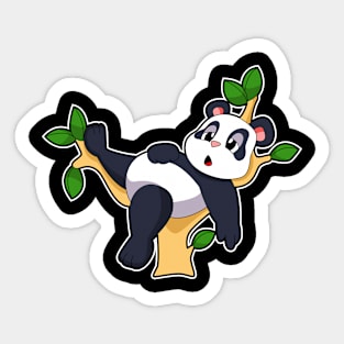 Panda on Tree Sticker